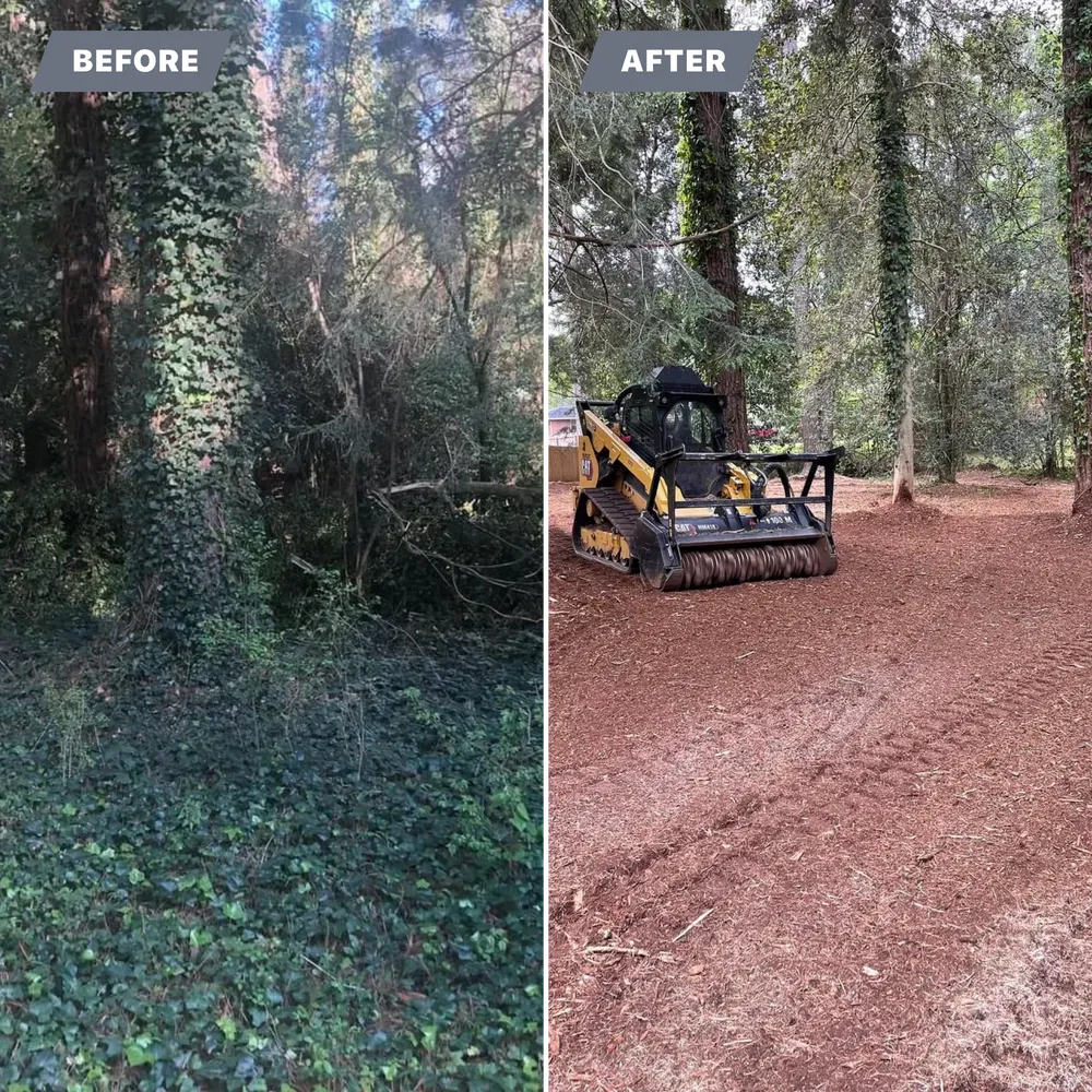 before and after land clearing transformation in Shreveport LA by Caddo Land Works