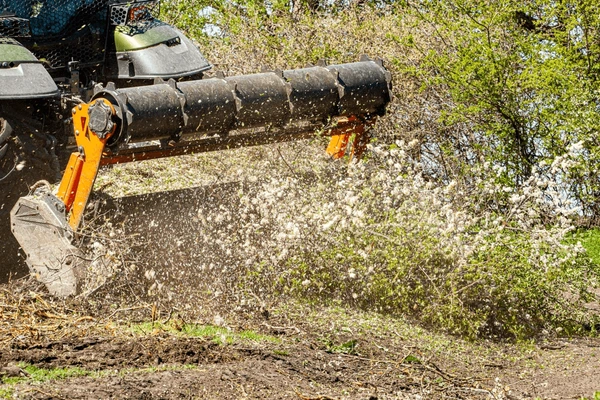 Forestry mulching machine clearing dense brush and small trees on an overgrown property in York County