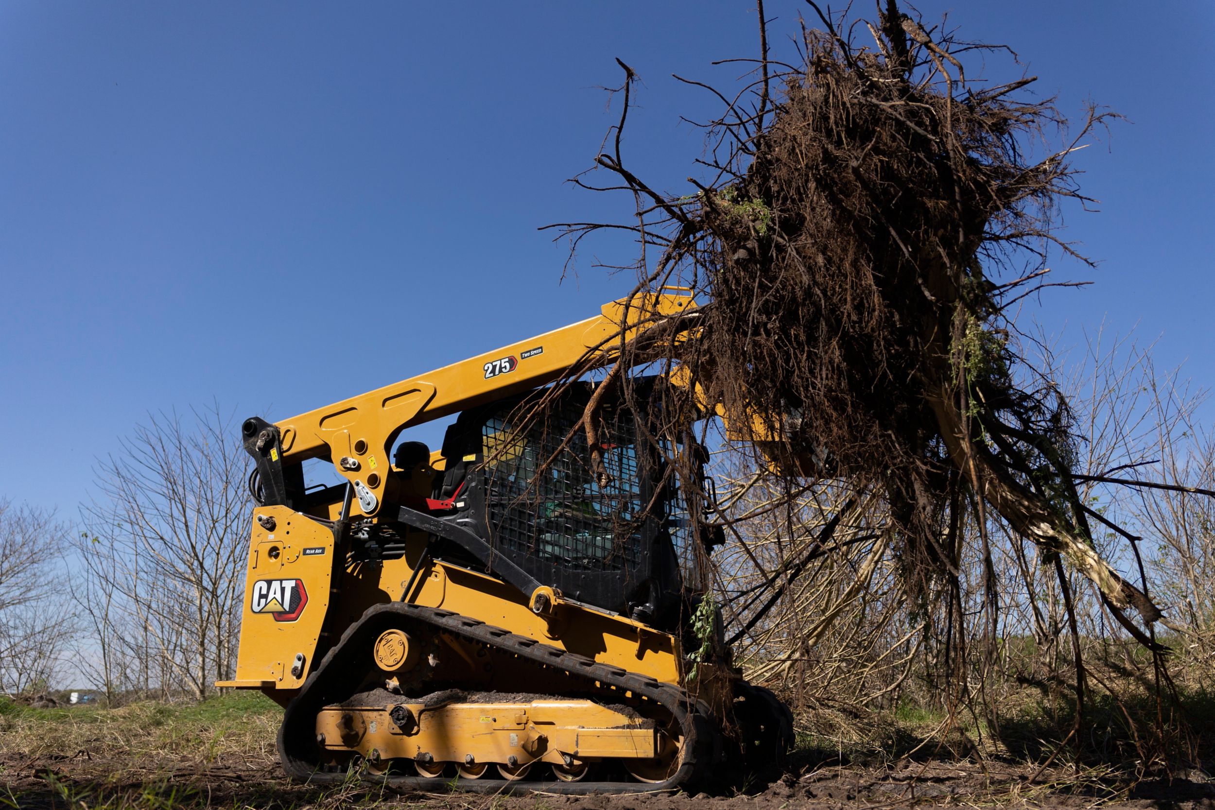 tree and shrub new view forestry and land clearing new view york county