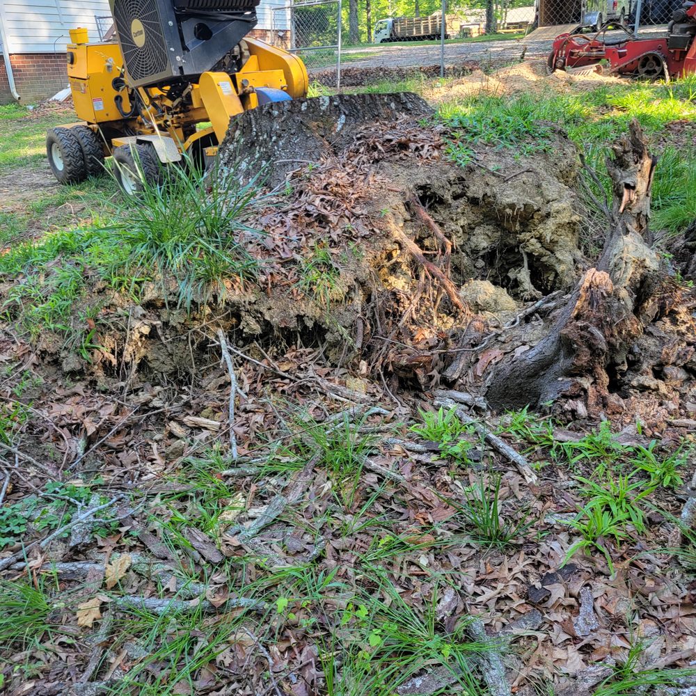 Dense brush being removed to reopen access along a rural property edge