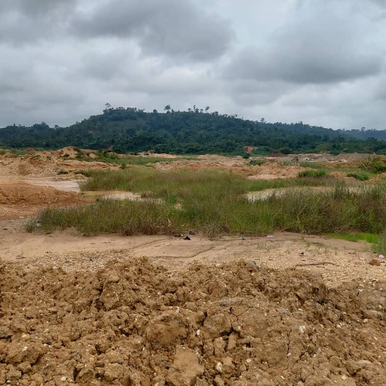 Skilled operator reclaiming dense brush to reopen fenced pasture for livestock