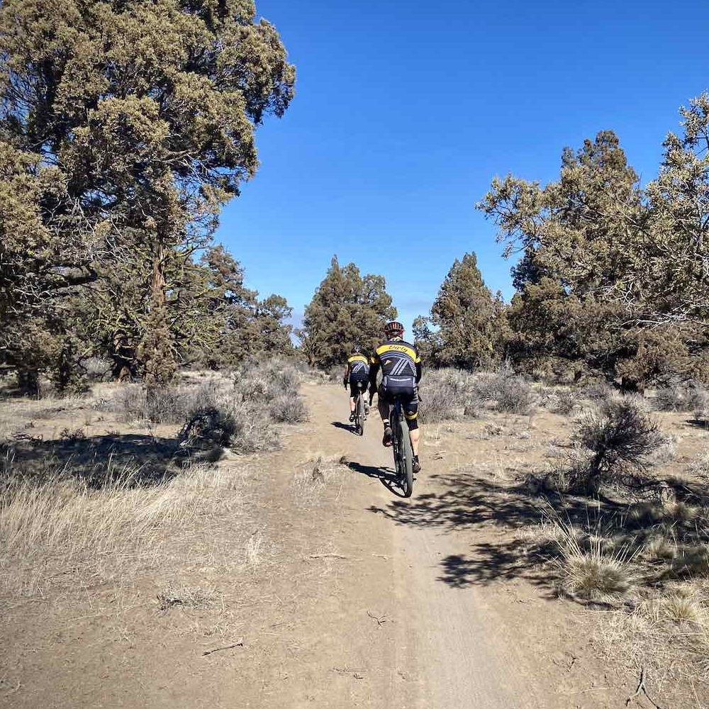 Freshly cleared wooded trail winding through rural property with open walking access